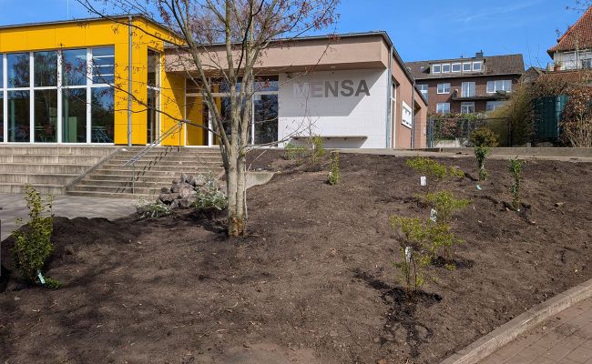 Image - Klimagarten Oberschule Bohmte
