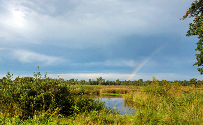 Image - Planung eines BNE Wanderwegs